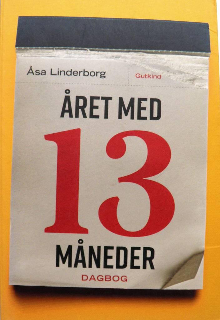 Året med 13 måneder - en dagbog
