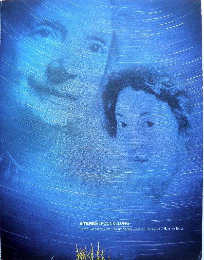 Sternverdunkelung : Lotte Laserstein och Nelly Sachs : om exilens villkor = Life in exile