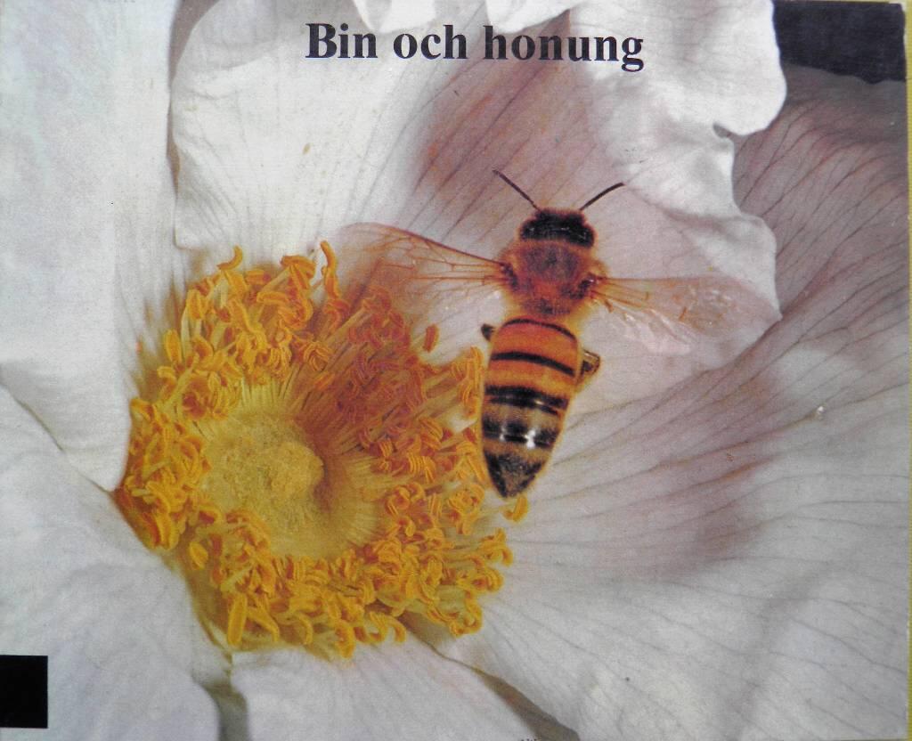 Bin och honung