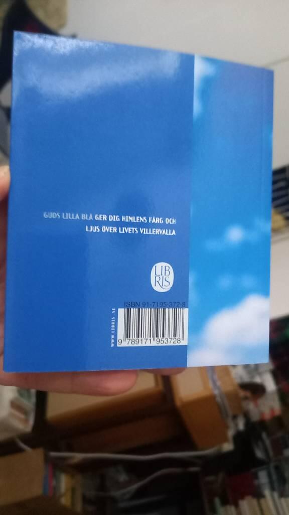 Guds lilla bl&aring; - l&ouml;ften och ledning i livets villervalla