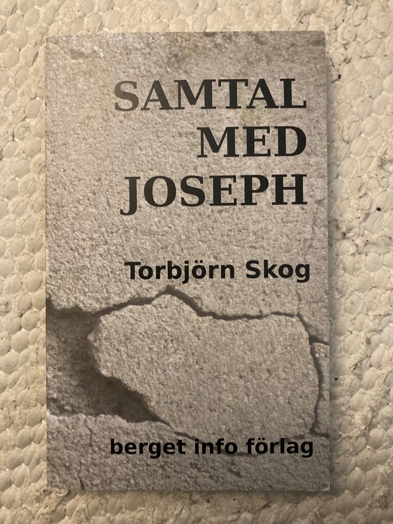 Samtal med Joseph : roman