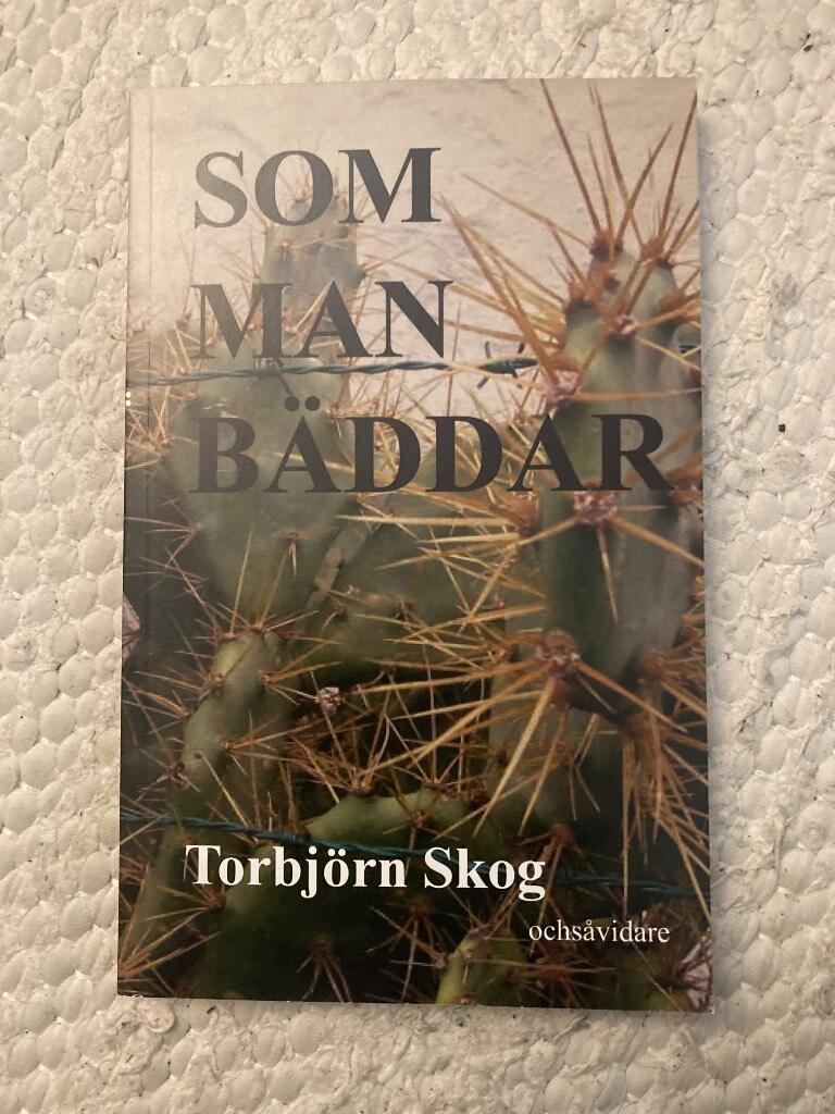 Som man bäddar : roman