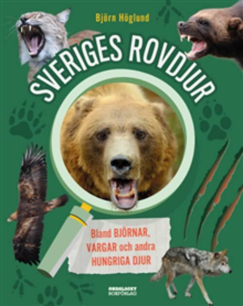 Sveriges rovdjur - Bland björnar, vargar och andra hungriga djur