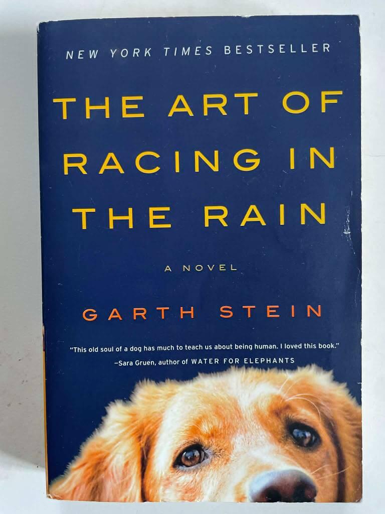 The Art of Racing in the Rain