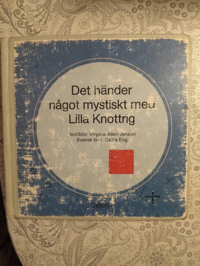 Det h&auml;nder n&aring;got mystiskt med Lilla Knottrig : [en barnbok f&ouml;r blinda och seende barn fr&aring;n tre &aring;r och upp&aring;t]