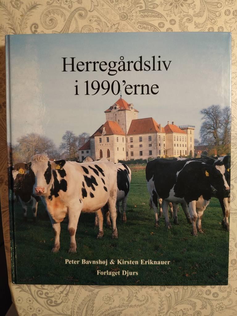 Herreg&aring;rdsliv i 1990'erne