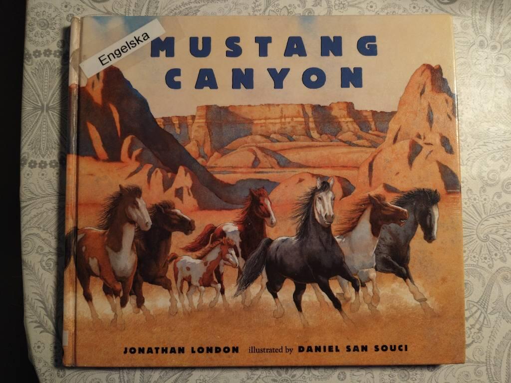 Mustang canyon