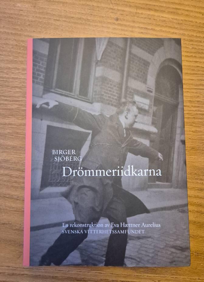 Dr&ouml;mmeriidkarna