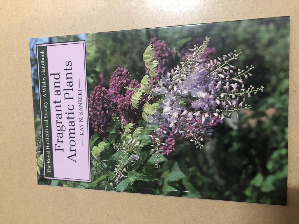 Fragrant and aromatic plants