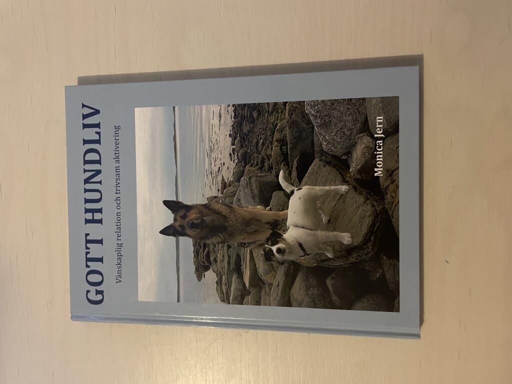 Gott hundliv - v&auml;nskaplig relation och trivsam aktivering