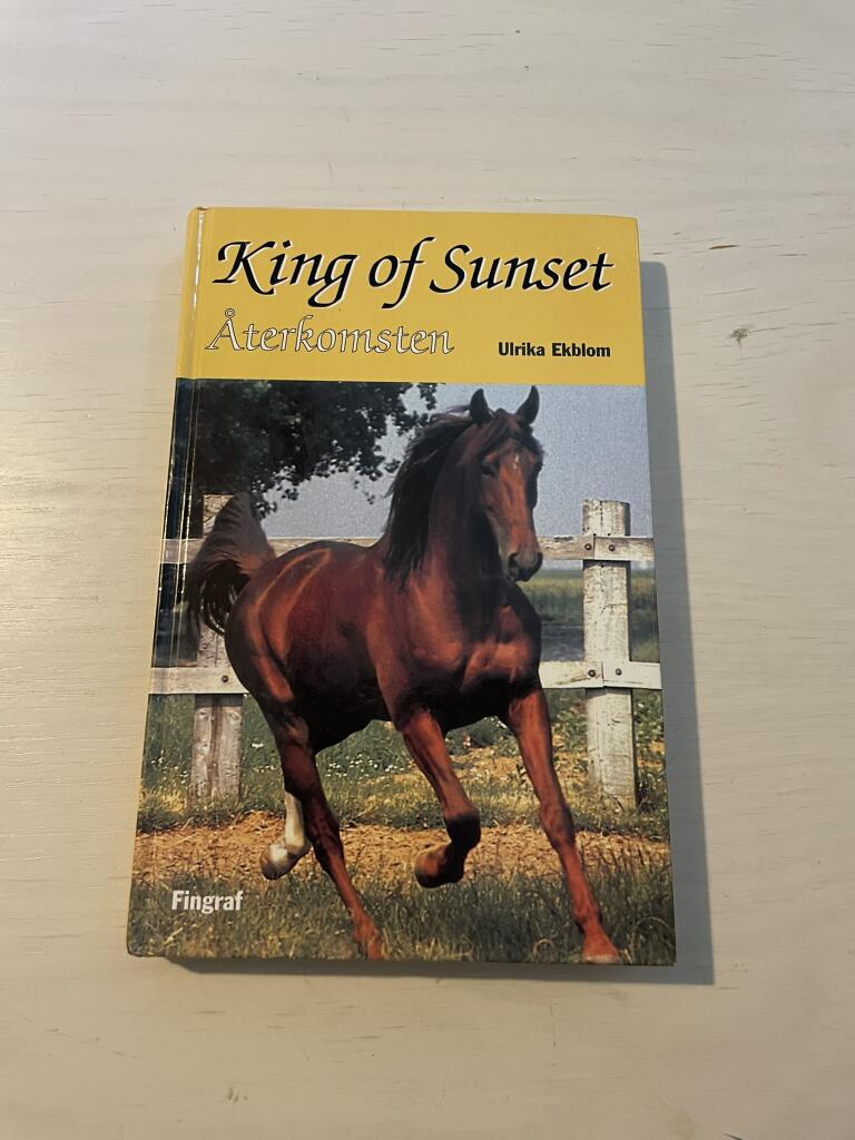 King of Sunset - &aring;terkomsten