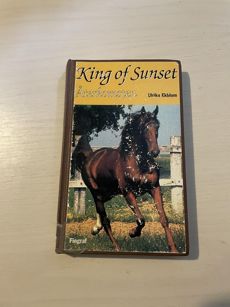 King of Sunset - &aring;terkomsten