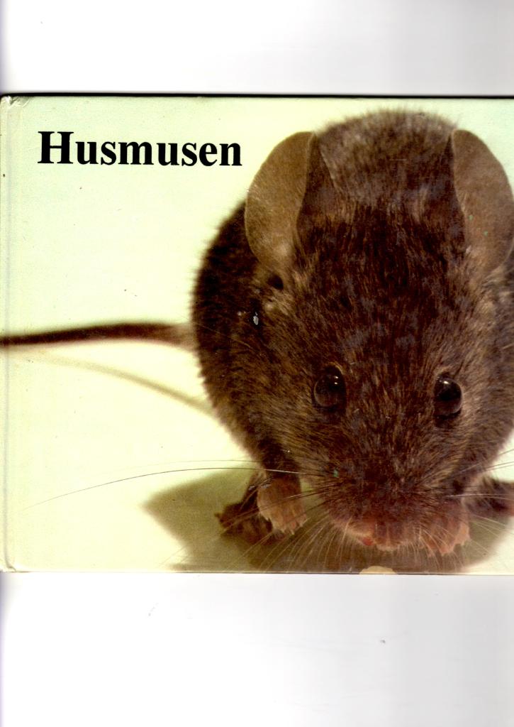 Husmusen