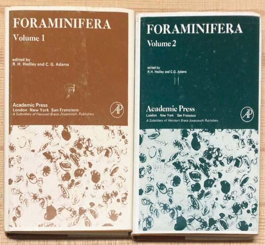 Foraminifera