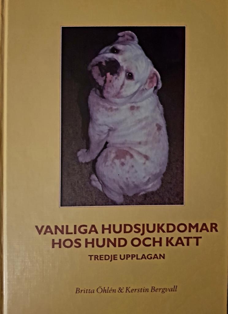 Vanliga hudsjukdomar hos hund och katt