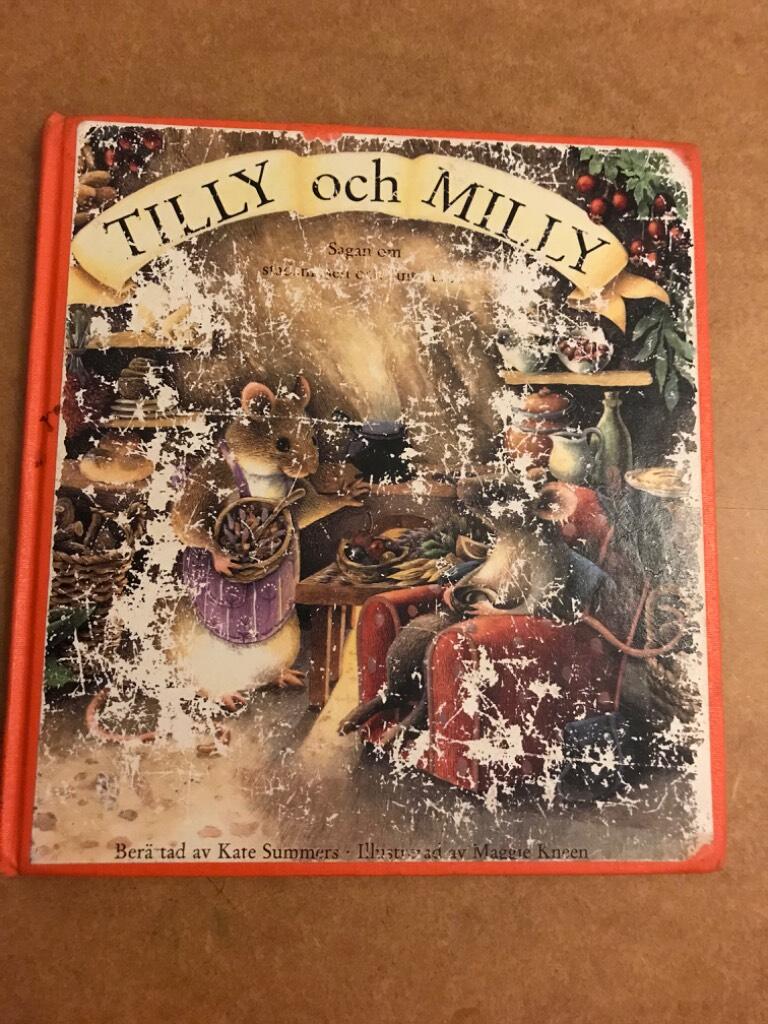 Tilly och Milly : [sagan om stadsmusen och lantmusen]