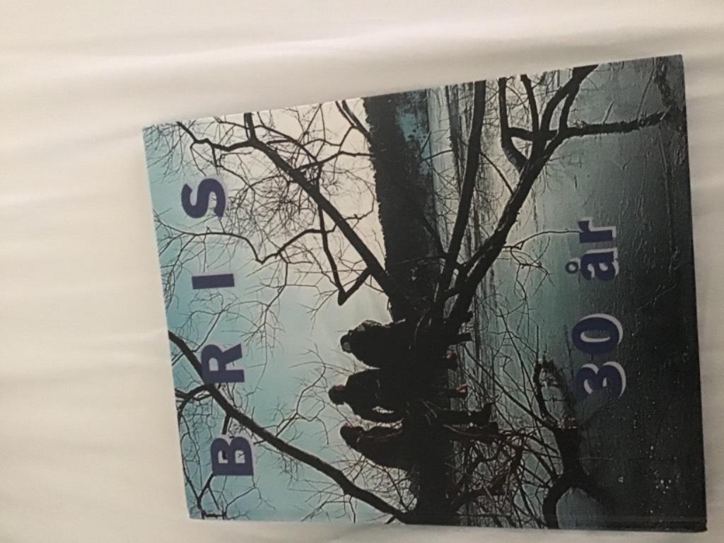 BRIS 30 &aring;r