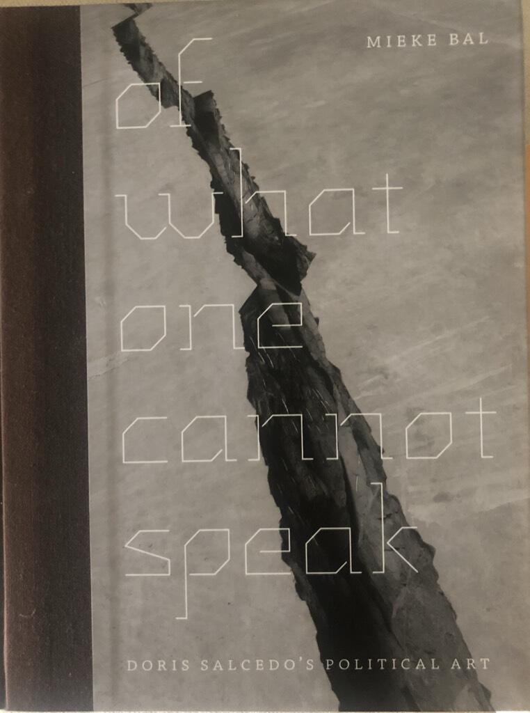 Of what one cannot speak - Doris Salcedo's political art