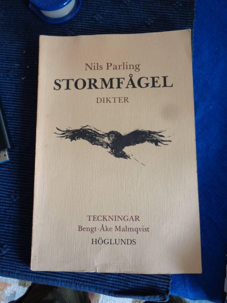 Stormf&aring;gel