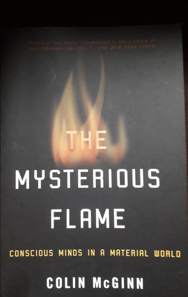 The mysterious flame : conscious minds in a material world