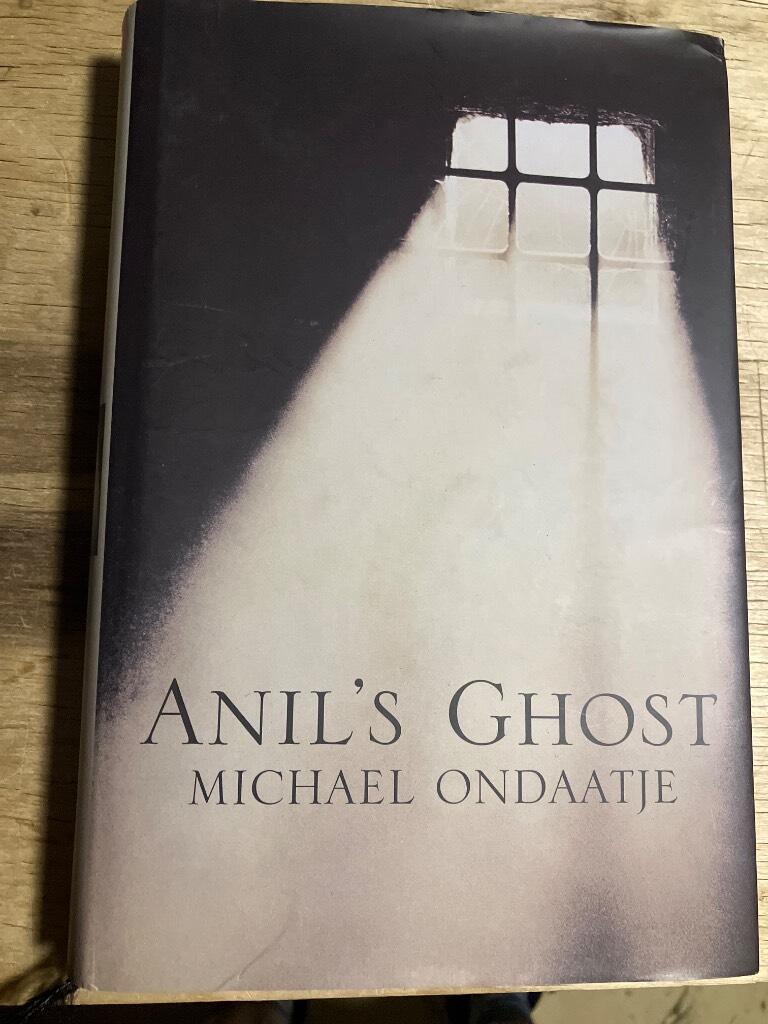 Anil's ghost