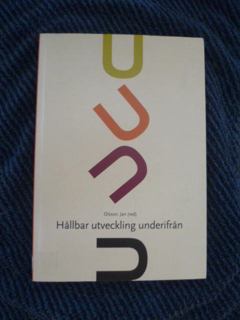 H&aring;llbar utveckling underifr&aring;n? : lokala politiska processer och etiska v&auml;gval