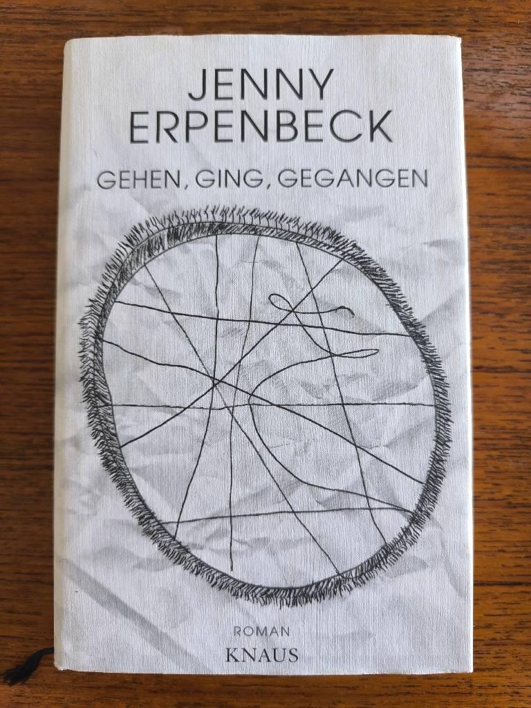 Gehen, ging, gegangen - Roman