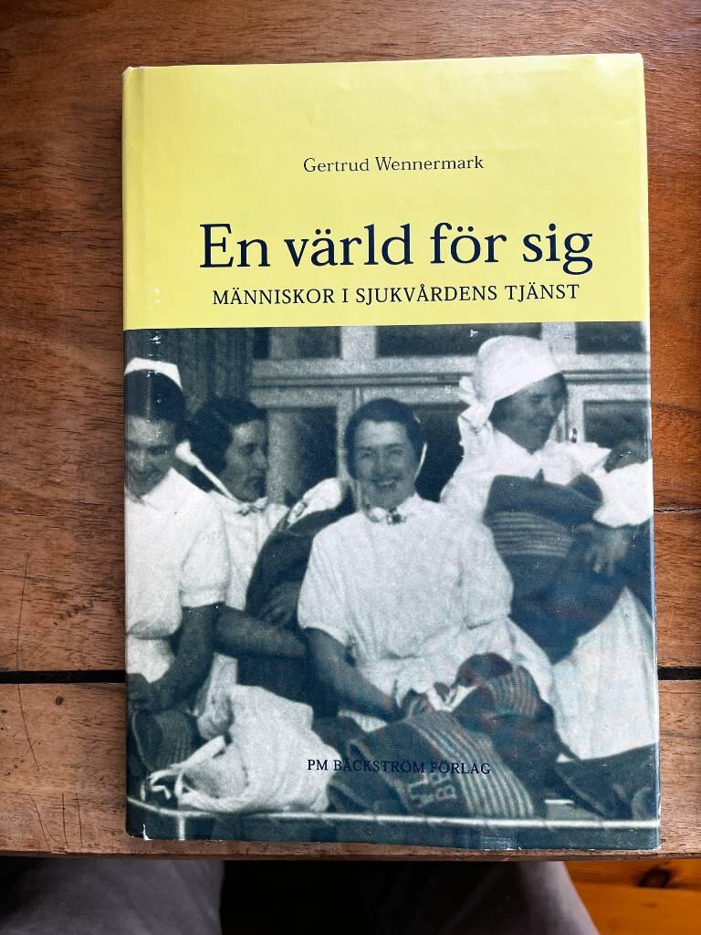 En v&auml;rld f&ouml;r sig - m&auml;nniskor i sjukv&aring;rdens tj&auml;nst