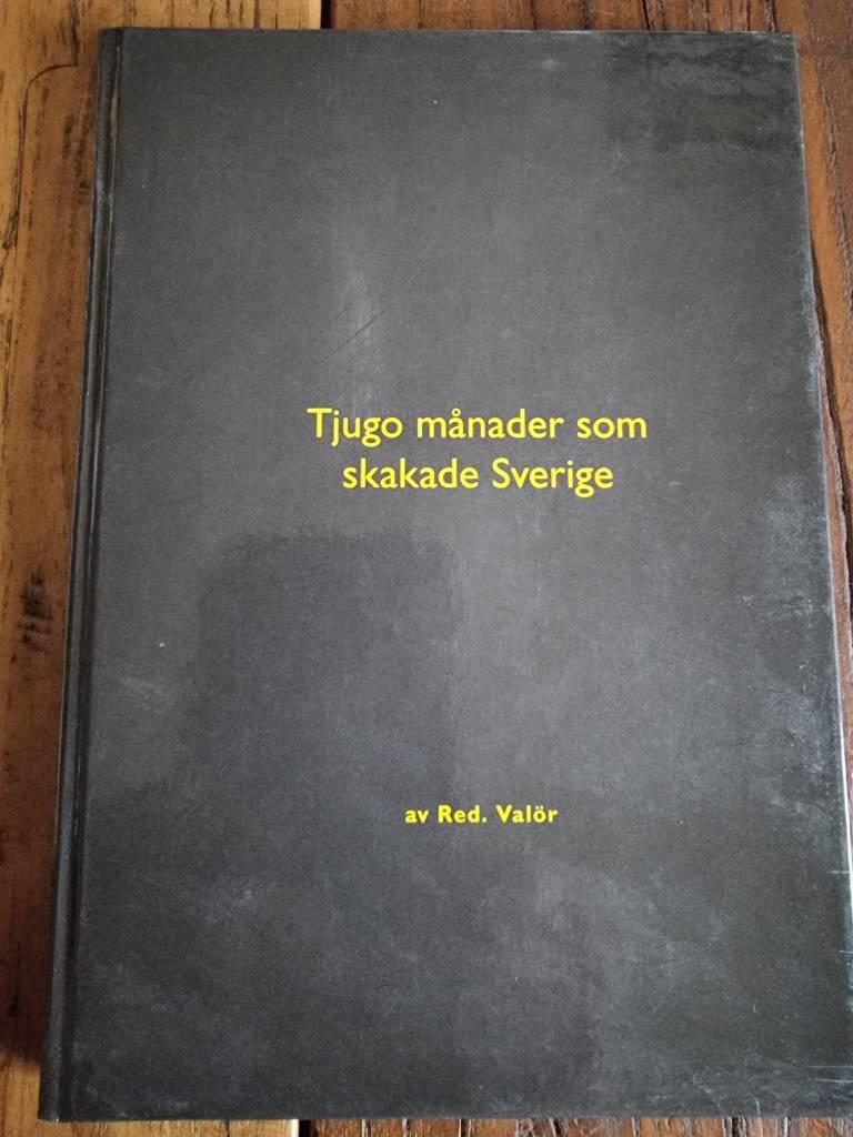 Tjugo m&aring;nader som skakade Sverige