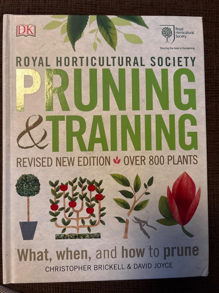 Pruning & training