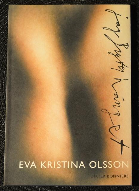 Jag bryter h&auml;nget : dikter