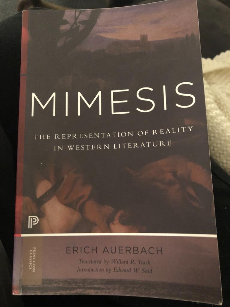 Mimesis - the representation of reality in Western literature