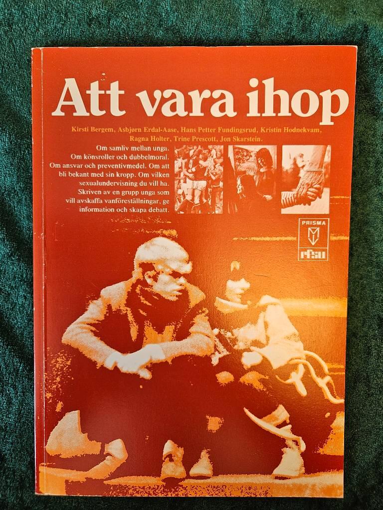 Att vara ihop : om ungdom och sexualitet