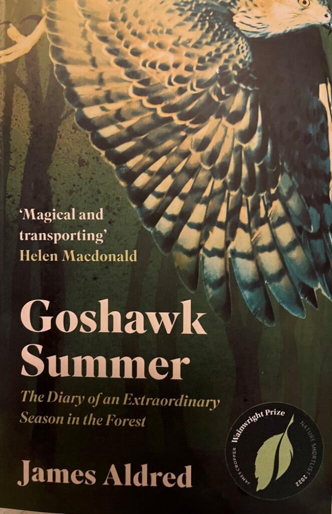 Goshawk summer - the diary of an extraordinary season in the forest