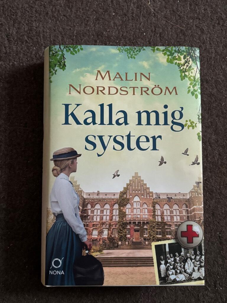 Kalla mig syster - en historisk roman