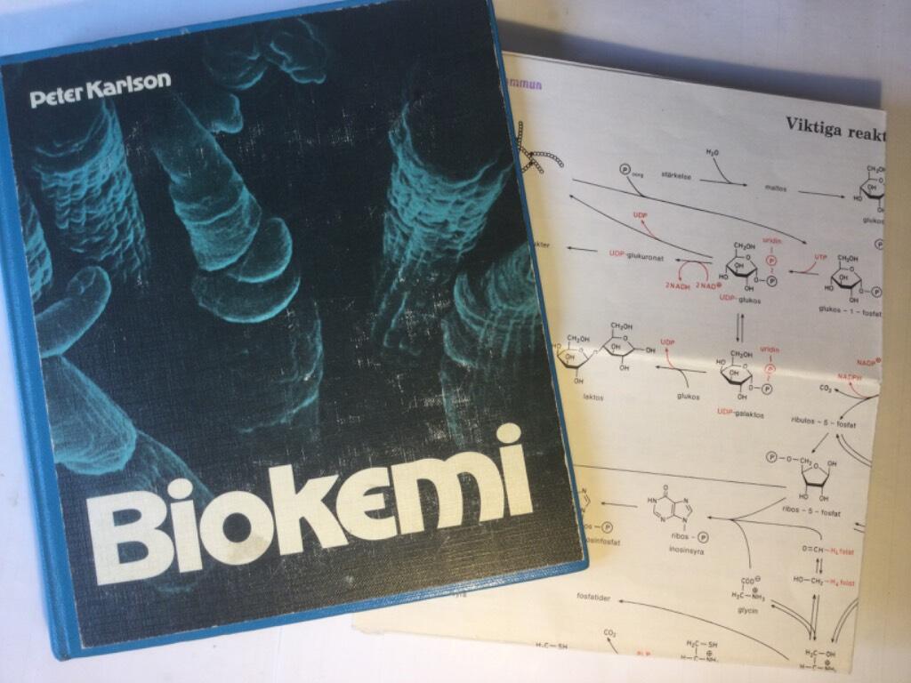 Biokemi