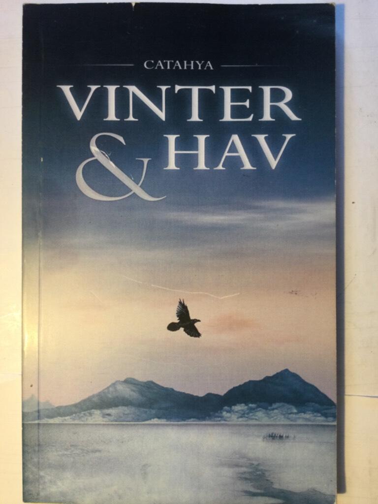 Vinter & hav
