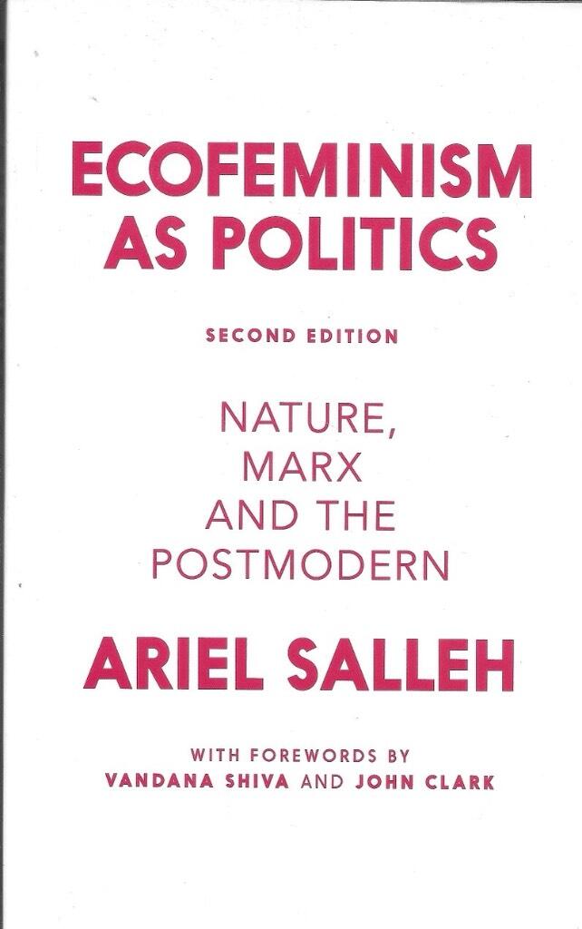 Ecofeminism as politics - nature, Marx and the postmodern