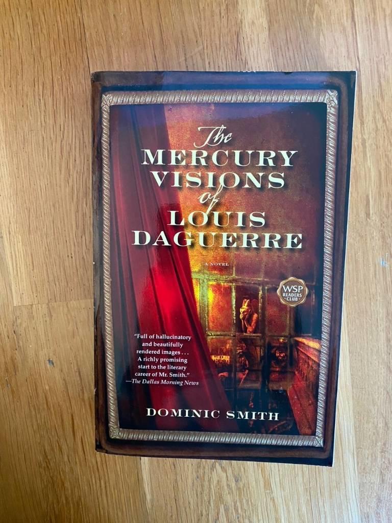 The mercury visions of Louis Daguerre - a novel