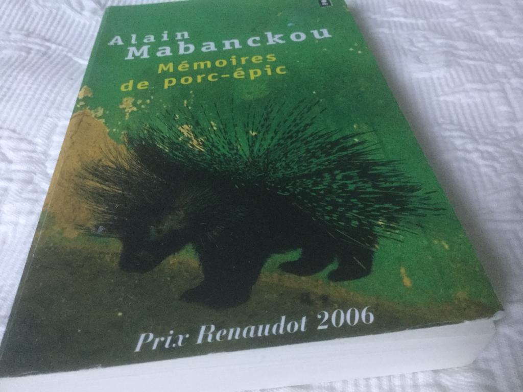 M&eacute;moires de porc-&eacute;pic : roman