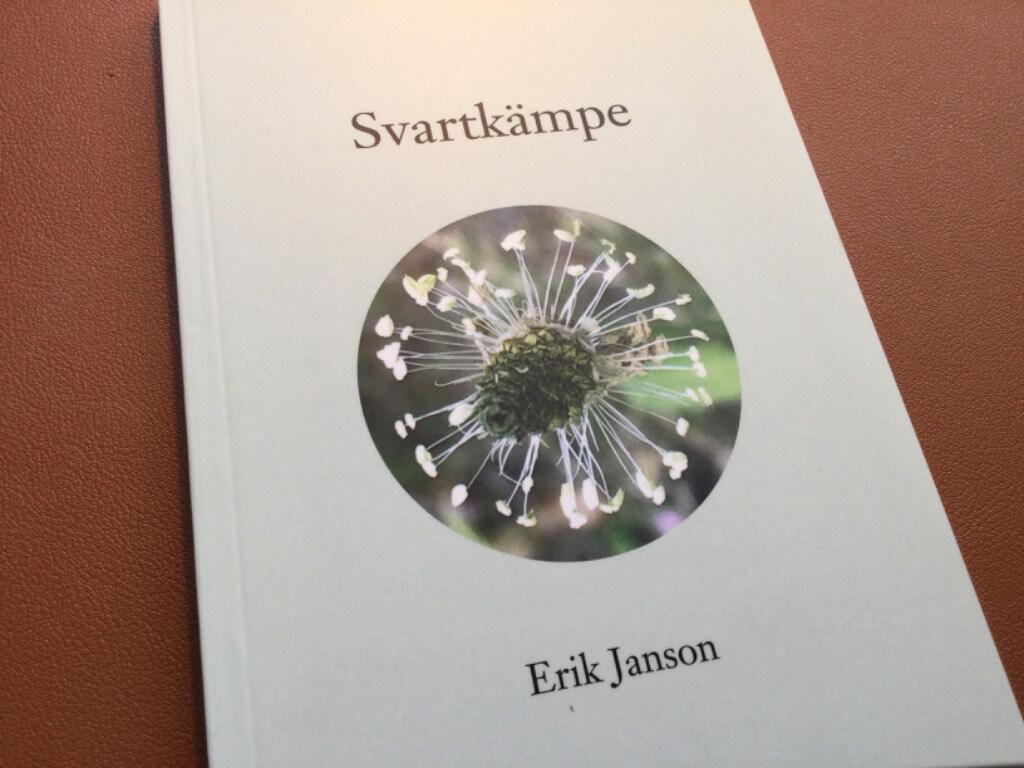Svartk&auml;mpe
