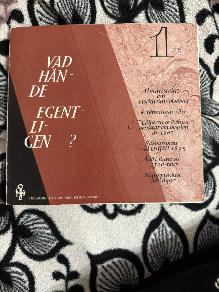 Vad h&auml;nde egentligen