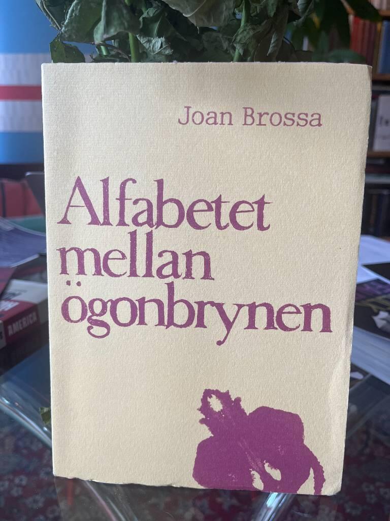 Alfabetet mellan &ouml;gonbrynen