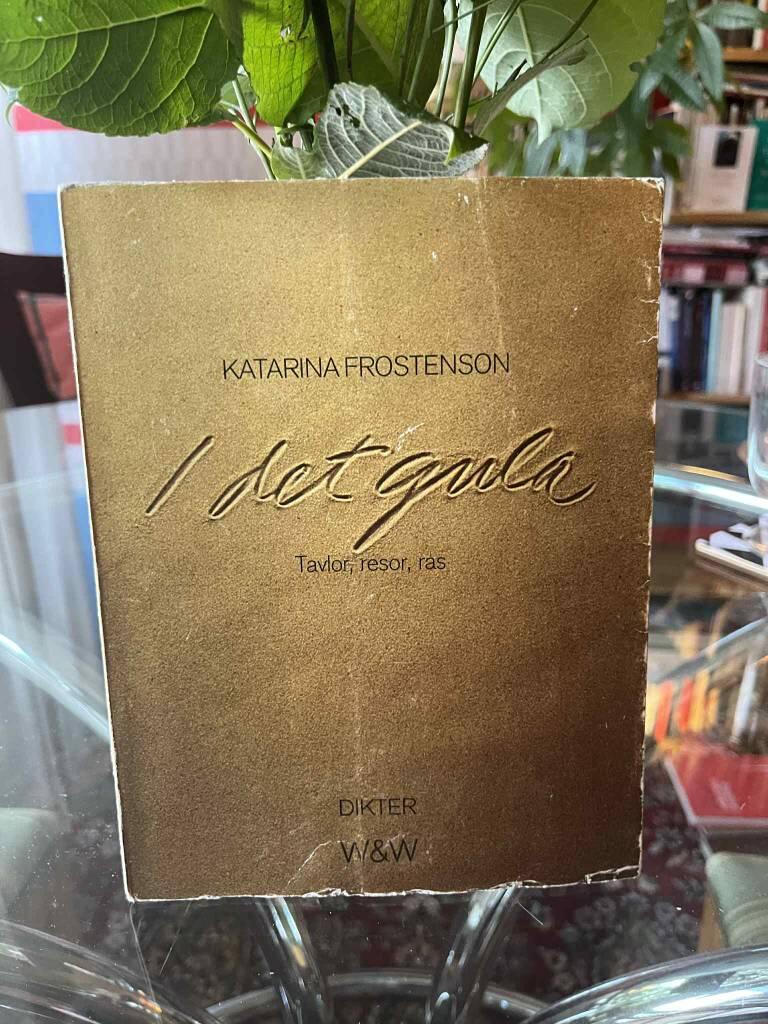 I det gula : tavlor, resor, ras : [dikter]