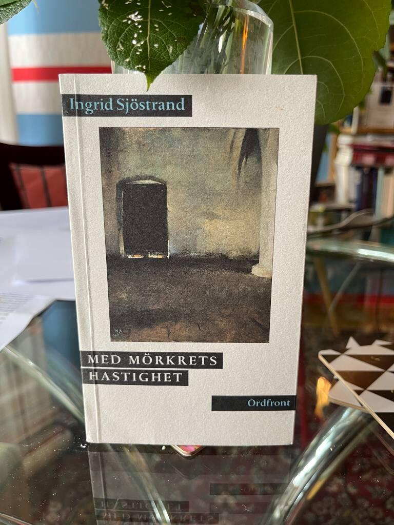 Med m&ouml;rkrets hastighet : bilder ur en dr&ouml;mprocess