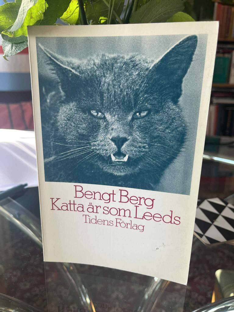 Katta är som Leeds : dikter