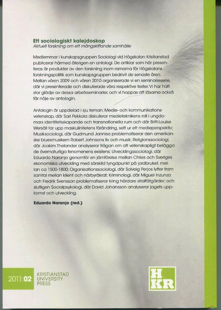 Maskulinitetens f&ouml;r&auml;ndring [Elektronisk resurs] : teoretiska utblickar och medieinneh&aring;llen som representativa praktiker