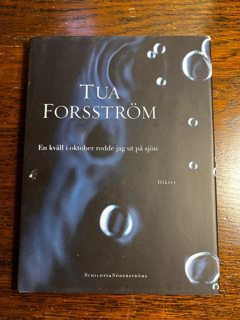 En kv&auml;ll i oktober rodde jag ut p&aring; sj&ouml;n : dikter