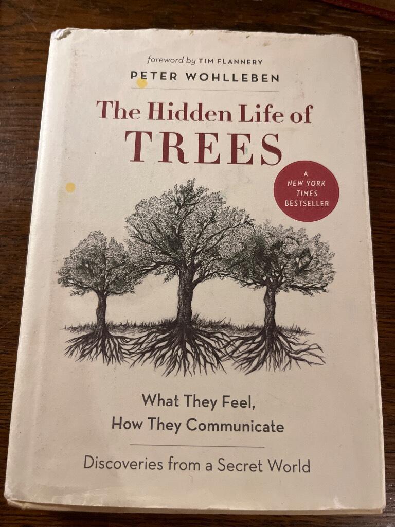 The hidden life of trees