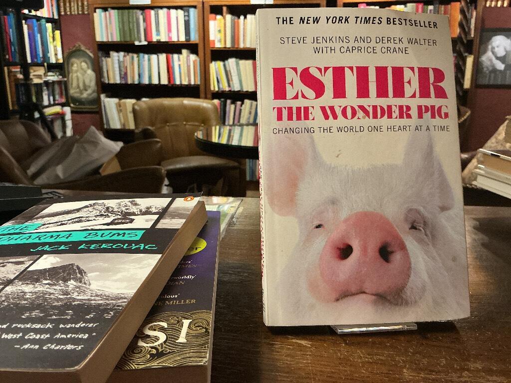 Esther the wonder pig : changing the world one heart at a time